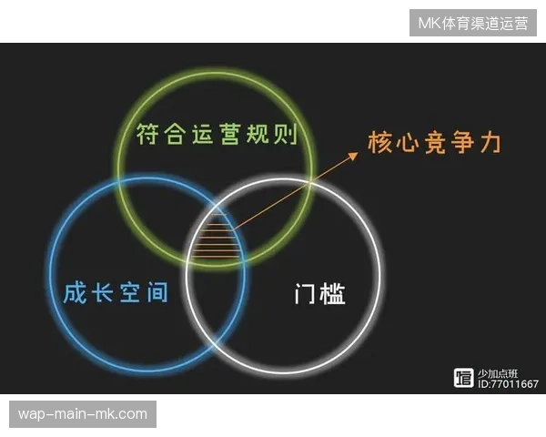 赛事运营的核心竞争力已然演化为复杂环境下的即时安保指挥闭环能力 赛事运营的核心竞争力已然演化为复杂环境下的即时安保指挥闭环能力